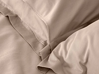 Комплект постельного белья Cotton Collection 839581 250_100_2108984