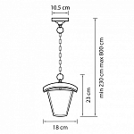 Подвесной светильник Lightstar Lampione 375070 250_100_1714138