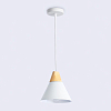 Подвесной светильник Ambrella Light TR TR8195 100_100_2015702