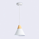 Подвесной светильник Ambrella Light TR TR8195 250_100_2015702