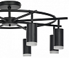 Люстра на штанге Lightstar Rullo LR7183780 100_100_1716546