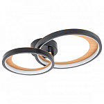 Накладной светильник Escada Callisto 10265/2LED 250_100_Array