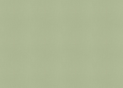 423938 Обои Rasch (1*12) 10,05x0,53 винил на флизелине 400_400_2148309