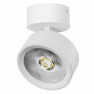 Спот Lightstar Alta Pro A5646SO 400_400_2869342