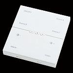 Панель универсальная сенсорная накладная Lightstar PRO 505536R 250_100_2121436