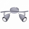 Спот Arte Lamp Regista A1966AP-2GY 100_100_1821203
