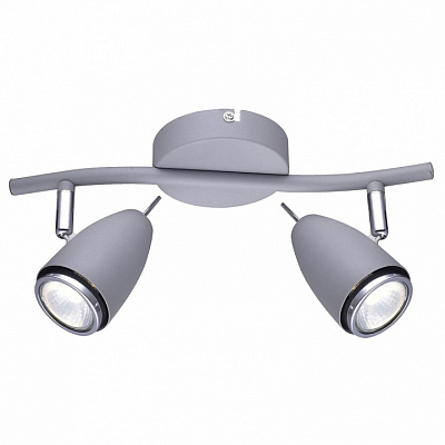 Спот Arte Lamp Regista A1966AP-2GY 400_400_1821203