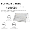 Настенно-потолочный прожектор Apeyron Electrics  05-44 100_100_2176300