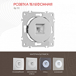 Розетка телефонная RJ-11 без рамки Arte Milano am-202 202.51-1.silver 250_100_2166099