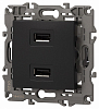 Розетка 2хUSB type A без рамки Эра Эра Elegance 14-4110-05 100_100_2400900