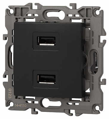 Розетка 2хUSB type A без рамки Эра Эра Elegance 14-4110-05 400_400_2400900