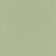 423938 Обои Rasch (1*12) 10,05x0,53 винил на флизелине 500_191_2323869