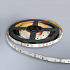 Лента светодиодная Eleganz LUX EL-LS-48W 100_100_2047132