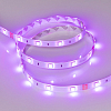 Лента светодиодная Arlight RTW 021732(2) 100_100_1896876