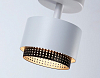 Спот Ambrella Light TN TN71279 100_100_2024450