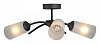 Люстра на штанге Vitaluce V2850 V2850-1/3PL 100_100_2424308