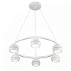 Подвесная люстра Lumion Luazana 8254/6 100_100_1867015
