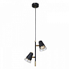Подвесной светильник F-promo Trandy 4618-2P 100_100_1923492