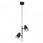 Подвесной светильник F-promo Trandy 4618-2P 250_100_1923492