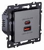 Розетка 2хUSB type A и C без рамки Kollinger Asthetik AS-024GY 100_100_3118739