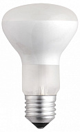 Лампа накаливания Jazzway  E27 40Вт 2700K R63 40W E27 frost 500_191_3239127