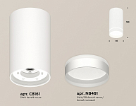 Накладной светильник Ambrella Light XS XS8161006 250_100_2012956