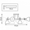 Люстра на штанге Lightstar Acrobata 761060 100_100_1715305
