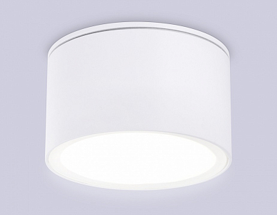Накладной светильник Ambrella Light TN TN6522 400_400_2018278