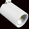 Светильник на штанге Lightstar Rullo 212936 100_100_1717816