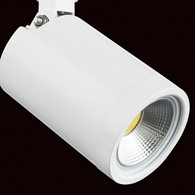 Светильник на штанге Lightstar Rullo 212936 400_400_1717816