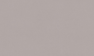 A101219 Обои ARTSIMPLE (1*6) 10,00x1,06 винил на флизелине 500_191_2323819