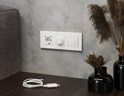 Розетка с заземлением и 2хUSB type C, без рамки Ambrella Volt ALFA MA130510 400_400_2193003