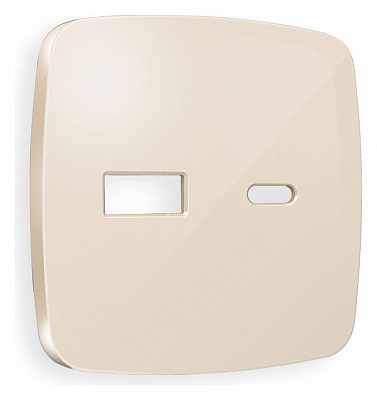 Накладка для розетки type A и C Ambrella Volt OMEGA OP3110 400_400_2191319
