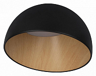 Накладной светильник Loft it Egg 10197/350 Black 250_100_Array