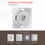 ТВ-розетка без рамки Arte Milano am-202 202.42-1.silver 250_100_2165885