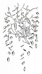 Бра Odeon Light Delica 4970/3W 250_100_1728320