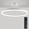 Светильник на штанге Natali Kovaltseva FINAM LED LAMPS 81121/1C 100_100_1885391