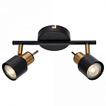 Спот Arte Lamp Almach A1906PL-2BK 250_100_1822710