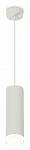 Подвесной светильник Ambrella Light XP XP8191010 250_100_2020705