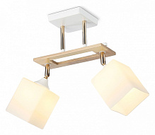 Светильник на штанге Ambrella Light TR TR9501 500_191_2468407
