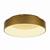 Накладной светильник MyFar Shannon MR2195-1PL 100_100_3156364