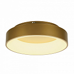 Накладной светильник MyFar Shannon MR2195-1PL 250_100_3156364
