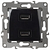 Розетка USB, без рамки Эра Эра 12 12-4110-06 100_100_2394566