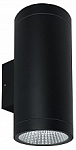 Накладной светильник Arte Lamp TORCULAR A1313AL-2BK 250_100_Array