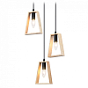 Подвесной светильник Ambrella Light TR TR80499 100_100_2023533