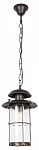 Подвесной светильник Loft it Palermo 100015P 250_100_1850369