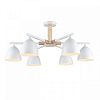 Люстра на штанге Lumion Colange 8095/6C 100_100_1864932