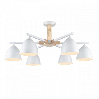 Люстра на штанге Lumion Colange 8095/6C 400_400_1864932