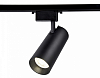Светильник на штанге Ambrella Light GL GL5859 100_100_2004662