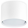 Накладной светильник Ambrella Light TN TN5301 100_100_2442349